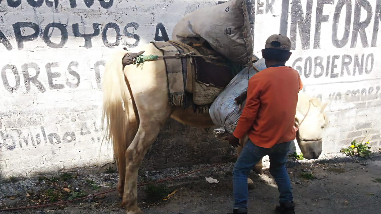 Niño Trabajando